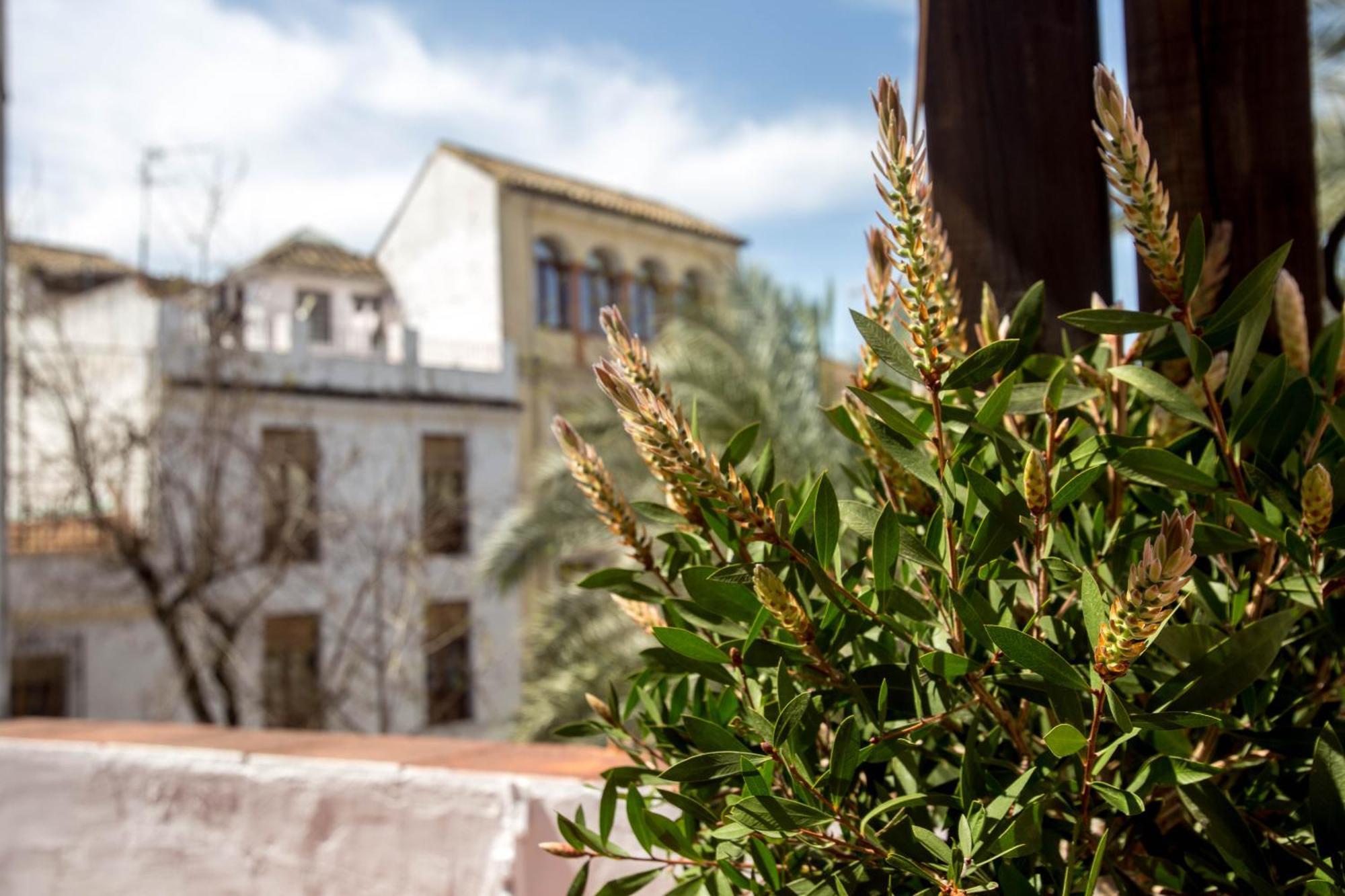 Munda Moon Villa Córdoba Kültér fotó